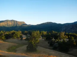 Oaks East of Big Sur in Los Padres Ntl Forest