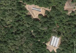 Cannabis grow in same area near Garberville in 2014