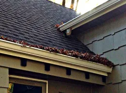 Clean out the gutter