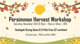 PersimmonHarvestWorkshop Twitter
