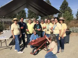 Pomegranate Madera Master Gardeners