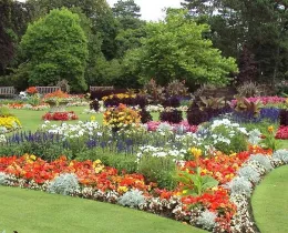 Plant Selections Workshop - Nov 16 2019