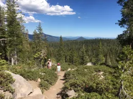 Lassen Park, Kings Creek Falls Trail by Joyce Hill