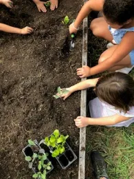 Kids transplanting by Karina Hathorn