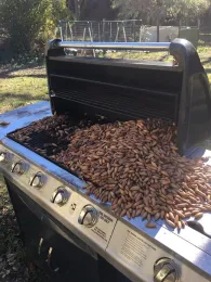 BBQ Acorns