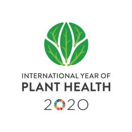 IYPH2020 Logo Vertical EN