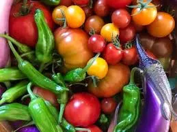 A colorful assortment of summer vegetables, including green chiles, red, orange, and yellow tomatoes, and a purple eggplant, arranged in a basket.