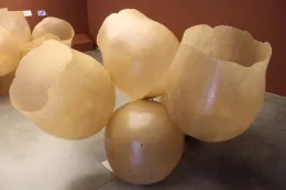 Blossom-shaped wax flowers.