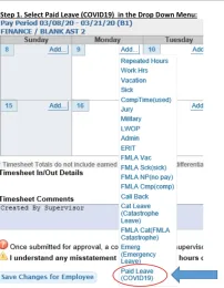 When an employee is unable to work for reasons related to COVID-19, there is a new menu item for time reporting.