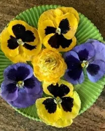 These pansies took 2 minutes to dry at 50% power in a 1000-watt microwave.