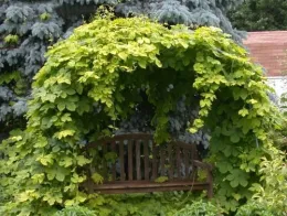 Herb Study - Photo 3