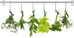Six bunches of fresh herbs hanging upside down from a metal rack to dry, including basil, rosemary, and parsley.