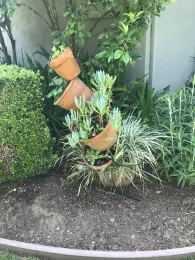 Stacked terracotta pots tilted at angles on a central stake, planted with silvery-leaved succulents and ornamental grass, in a garden bed.