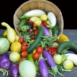 Vegetables
