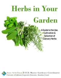 Herbs in your garden cover