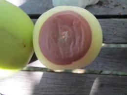 Rapidly spreading damage.