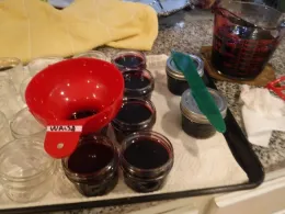 Jam - Courtesy of June Walsh