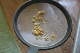 Sieving tomato seeds. (Royce Rhoads)