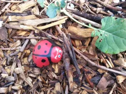 From For the Garden Photo 1