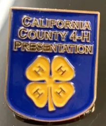 Blue Pin Award for Presentation