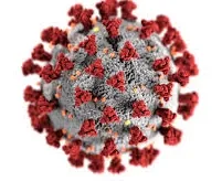 COVID-19 virus