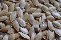 pumpkin-seeds