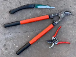 Three pruning tools on a gray stone surface: a curved saw, red-handled loppers, and red-handled hand pruners.