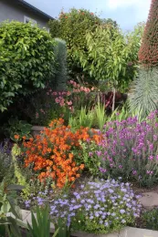 190301 Landscape Weed Mgmt WEB