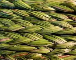 Braided Sweetgrass