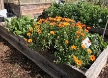 photos by Elvia Deleon