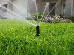 Sprinkler watering a lawn