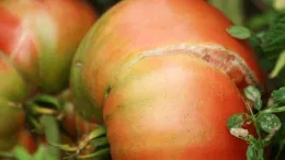 4888459839_d0c89a276e_b