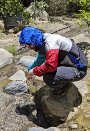 Greg Jesmok sampling water from Lake Elizabeth Canyon Creek, upstream from Castaic Lake. Photo by P. Ganguli.