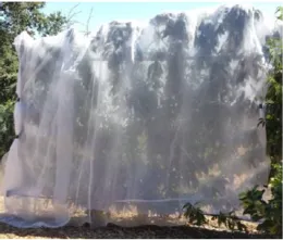 Shrouding with netting may be necessary for protection against insects, wildlife or inclement weather.