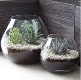 2021Q4FromtheGarden02