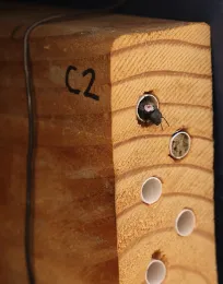 Blue orchard bee, Osmia lignaria, entering her wood block nest. (Photo by Clara Stulligross)