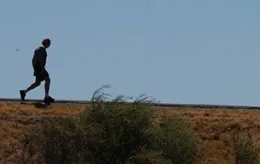 Most Parkinson's disease patients develop the disease at about age 60, according to the National Institute on Aging. (Photo by Kathy Keatley Garvey)