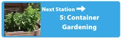 Next Station - Container Gardening