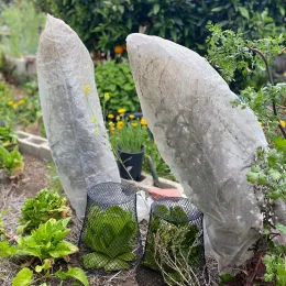 Two white mesh bags covering plants to reduce cross pollination, with two small black wire mesh cages protecting seedlings in a vegetable garden bed.