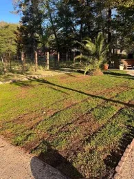 you can still see the edges of each section of the sod