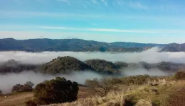 early morning fog at HREC