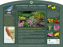 Infographic sign about California native plants, featuring colorful garden photos, wildlife illustrations, and text about landscaping with California natives