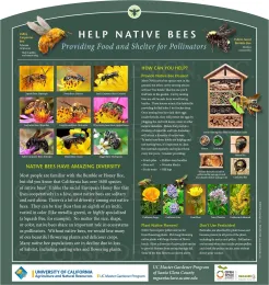 Informational sign about helping native bees, featuring colorful images of various bee species, recommendations for bee houses, and plant suggestions, all set against a green background.