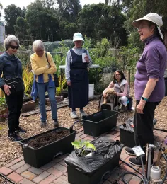 Participants at a gardening workshop, listening to someone leading a discussion about using planting boxes like the ones being used for demonstration.