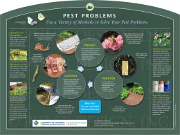 Informational sign titled "Pest Problems," showing various methods of pest management in gardening, including illustrations of pests, plants, and control techniques.