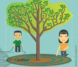 An illustration depicting a large tree with a green canopy and a brown trunk, surrounded by a blue spiral dripline. A male figure with a hose stands on the left, while a female figure in an orange shirt kneels on the right. The background is turquoise with the text "WATERING GUIDE SUMMER 2021" on the right.