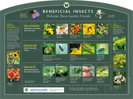 Illustrated educational sign titled "Beneficial Insects: Welcome These Garden Friends" showing pollinators, predators, and parasites with labeled photos and descriptions.