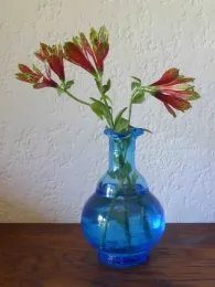 Native alstroemeria has attractive flowers but is also an invasive pest, J. Lawrence