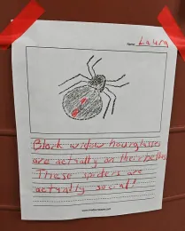 A scientist explains her arachnid project as