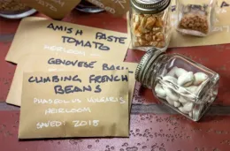 A collection of labeled seed packets and small glass jars containing seeds, arranged on a textured red surface with water droplets.